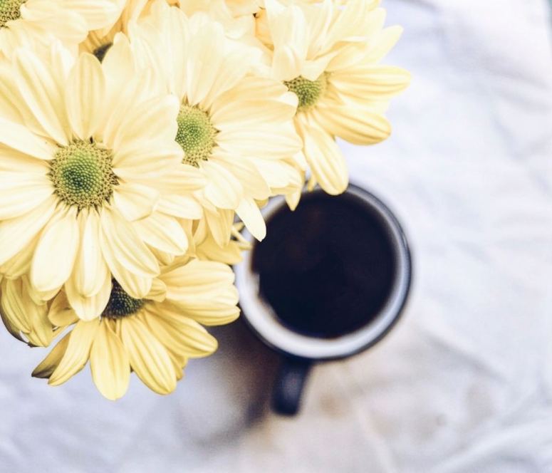 anastasia-yilmaz-555155-unsplash_c017f8ec-830e-4a3a-88db-f71e6e273639_1024x878